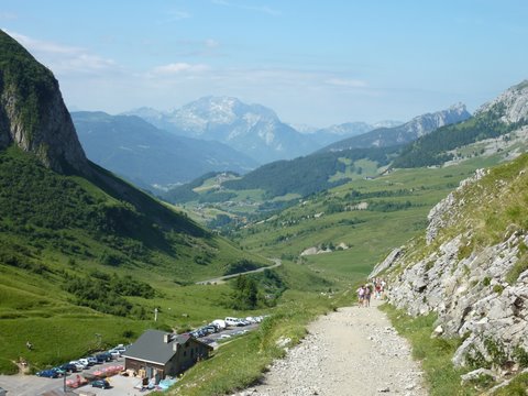 P1000233.JPG