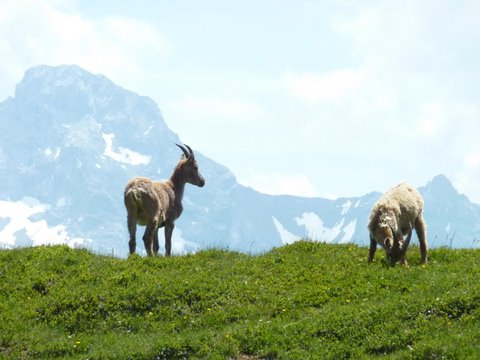 P1000300.JPG