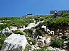 P1000241.JPG