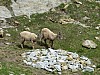 P1000261.JPG