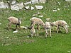 P1000263.JPG