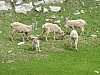 P1000264.JPG
