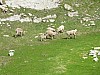 P1000265.JPG
