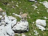 P1000269.JPG