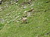 P1000281.JPG