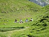 P1000285.JPG