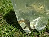 P1000293.JPG