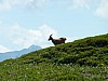 P1000297.JPG