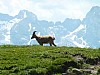 P1000299.JPG