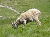 P1000305.JPG