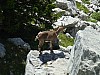 P1000309.JPG