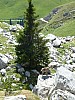 P1000310.JPG